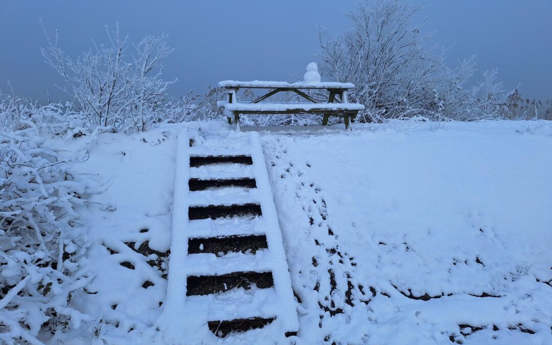 Witte wereld in de haven, 6 januari 2026